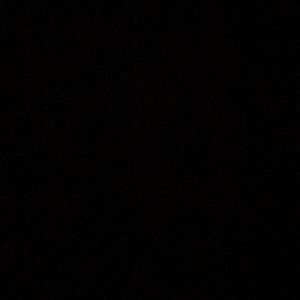 Meet your Posher, Mikey-michelle guilford